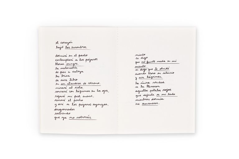 paradiso español (5)